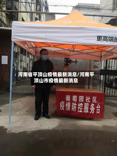 河南省平顶山疫情最新消息/河南平顶山市疫情最新消息-第2张图片