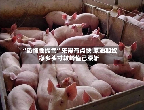 “恐慌性抛售	”来得有点快 原油期货净多头寸较峰值已腰斩-第2张图片