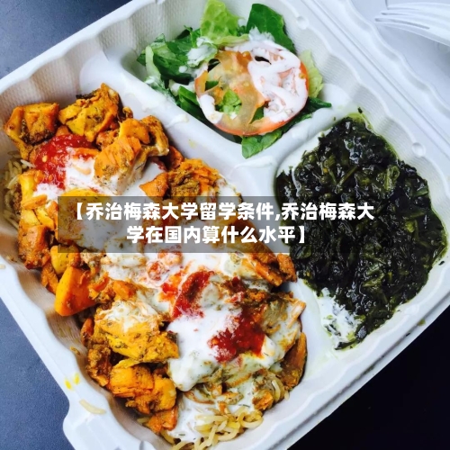 【乔治梅森大学留学条件,乔治梅森大学在国内算什么水平】-第2张图片