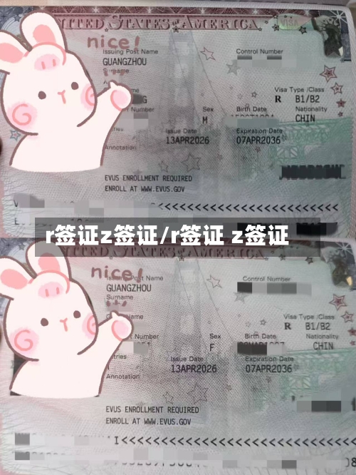 r签证z签证/r签证 z签证-第2张图片