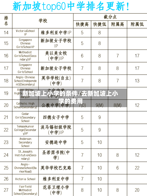 新加坡上小学的条件/去新加坡上小学的费用
