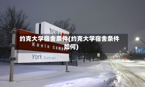 约克大学宿舍条件(约克大学宿舍条件如何)