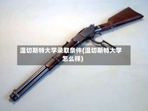 温切斯特大学录取条件(温切斯特大学怎么样)