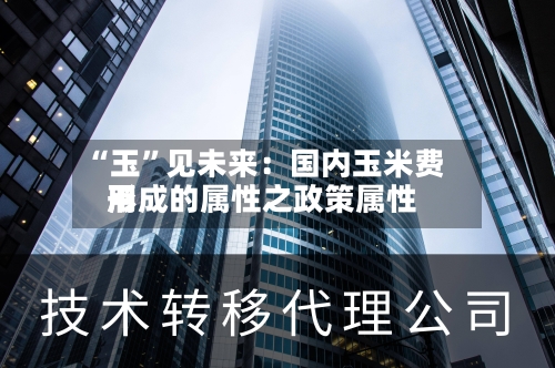 “玉”见未来：国内玉米费用形成的属性之政策属性-第3张图片