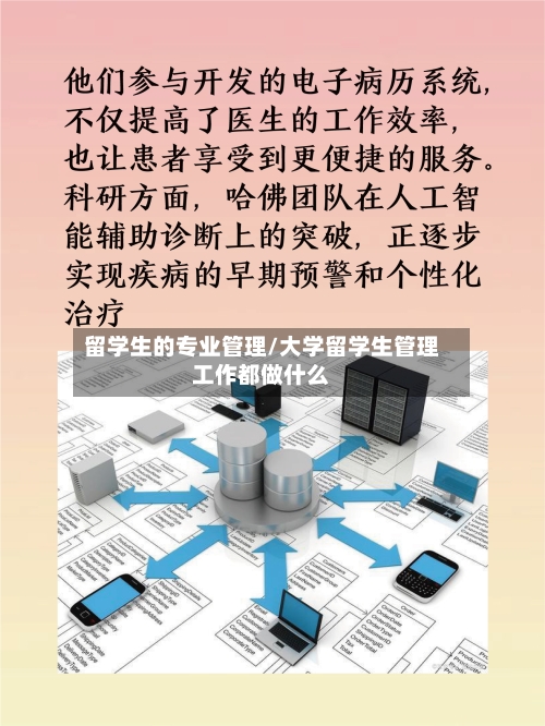 留学生的专业管理/大学留学生管理工作都做什么-第3张图片