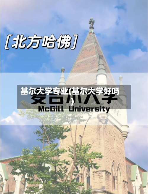 基尔大学专业(基尔大学好吗)