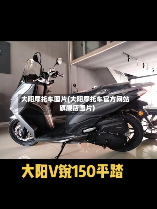 大阳摩托车图片(大阳摩托车官方网站旗舰店图片)