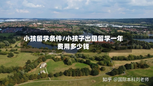 小孩留学条件/小孩子出国留学一年费用多少钱-第2张图片