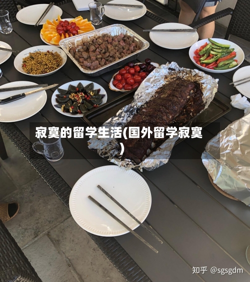 寂寞的留学生活(国外留学寂寞)