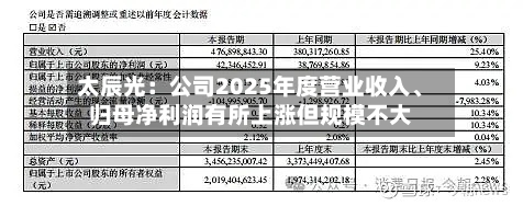 太辰光：公司2025年度营业收入、归母净利润有所上涨但规模不大-第2张图片