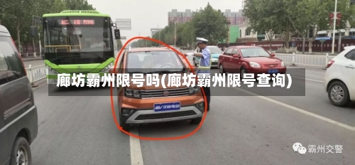 廊坊霸州限号吗(廊坊霸州限号查询)-第2张图片