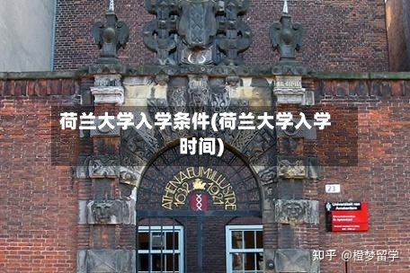 荷兰大学入学条件(荷兰大学入学时间)-第3张图片
