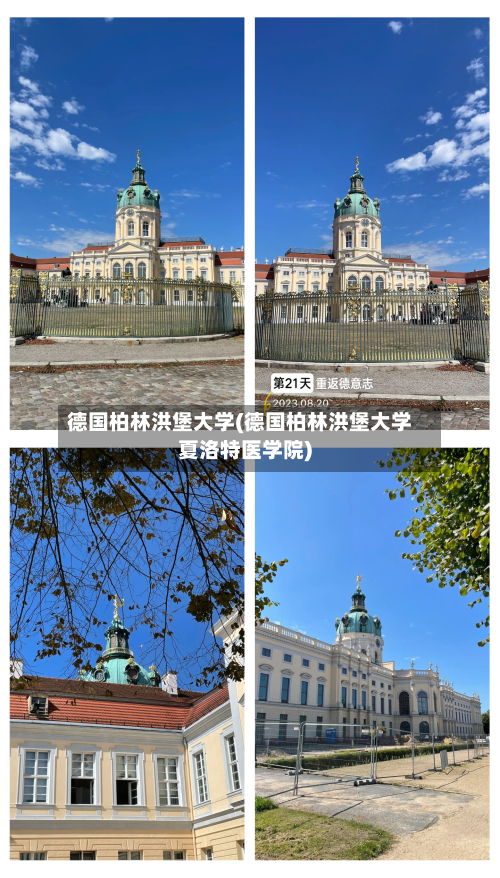 德国柏林洪堡大学(德国柏林洪堡大学夏洛特医学院)-第2张图片