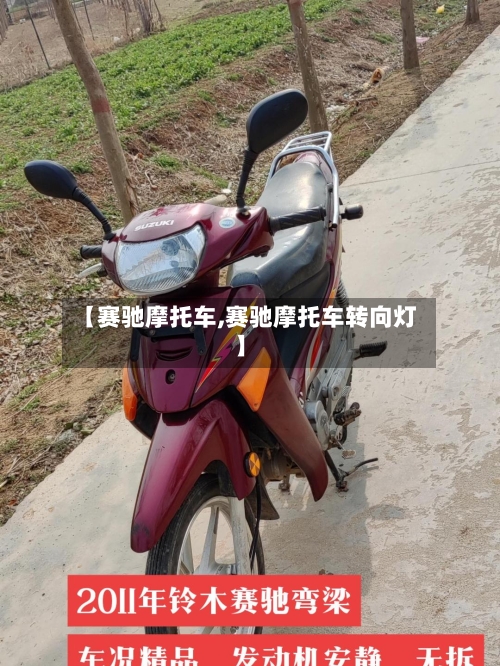 【赛驰摩托车,赛驰摩托车转向灯】-第2张图片