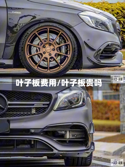 叶子板费用/叶子板贵吗-第3张图片