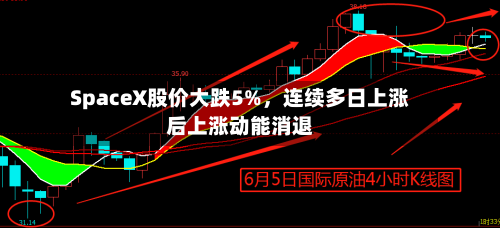 SpaceX股价大跌5%，连续多日上涨后上涨动能消退-第3张图片