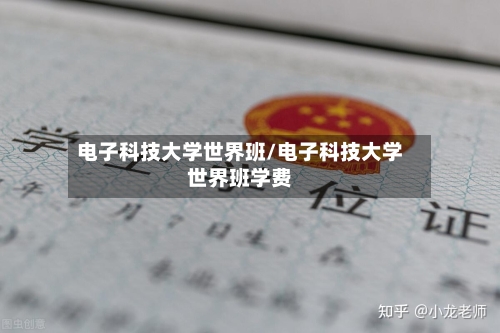 电子科技大学世界班/电子科技大学世界班学费