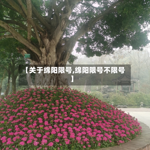 【关于绵阳限号,绵阳限号不限号】-第2张图片