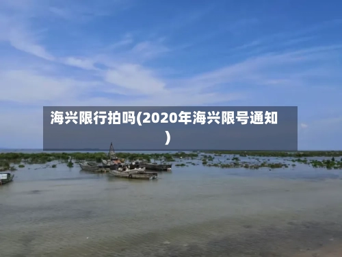 海兴限行拍吗(2020年海兴限号通知)-第2张图片