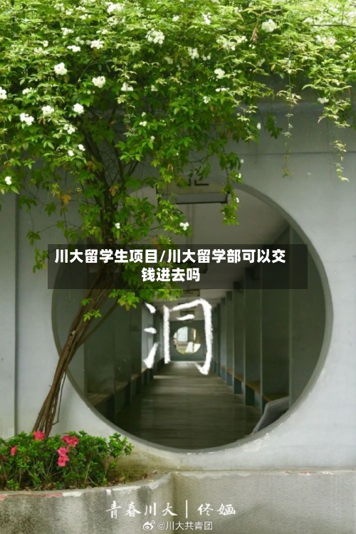 川大留学生项目/川大留学部可以交钱进去吗-第2张图片