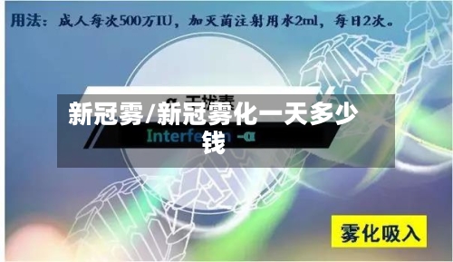 新冠雾/新冠雾化一天多少钱-第2张图片