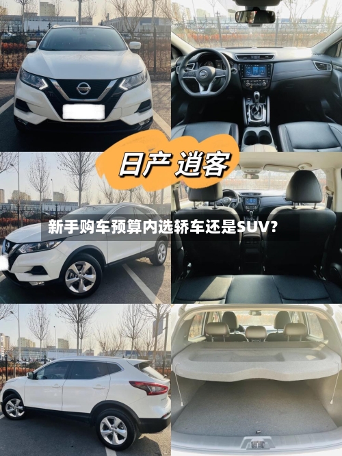 新手购车预算内选轿车还是SUV？-第2张图片