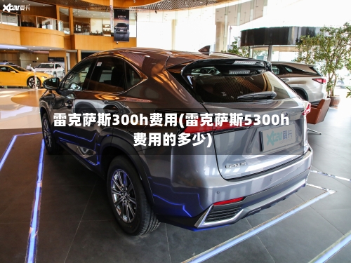 雷克萨斯300h费用(雷克萨斯5300h费用的多少)-第2张图片