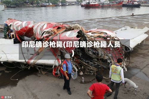 印尼确诊枪毙(印尼确诊枪毙人员)-第2张图片