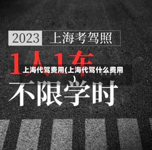 上海代驾费用(上海代驾什么费用)