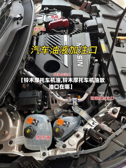 【铃木摩托车机油,铃木摩托车机油放油口在哪】-第3张图片