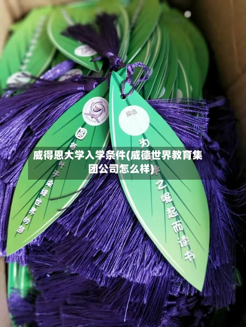 威得恩大学入学条件(威德世界教育集团公司怎么样)-第3张图片