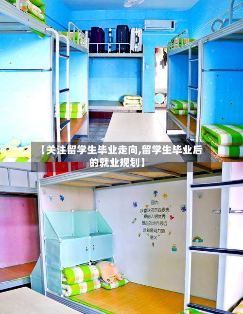 【关注留学生毕业走向,留学生毕业后的就业规划】