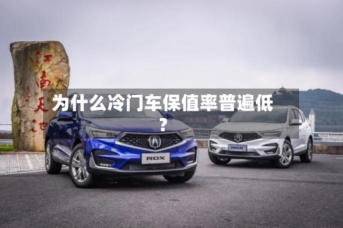 为什么冷门车保值率普遍低?