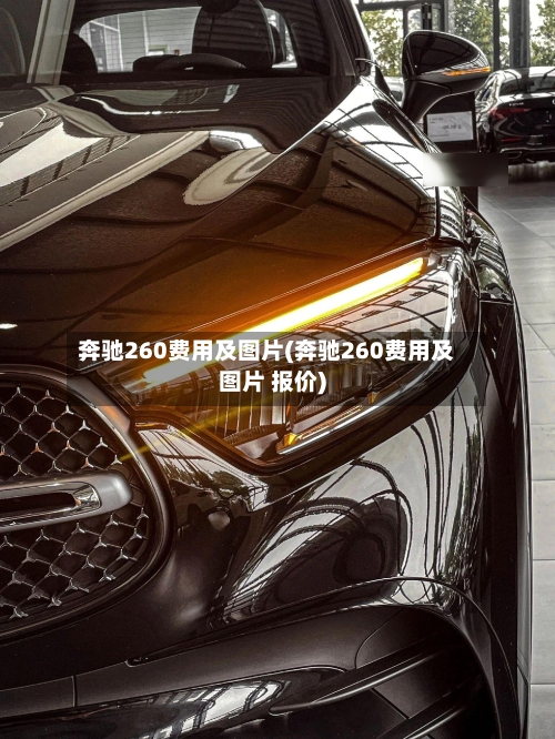 奔驰260费用及图片(奔驰260费用及图片 报价)