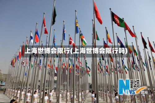 上海世博会限行(上海世博会限行吗)