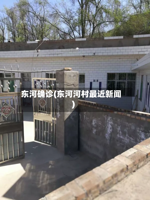 东河确诊(东河河村最近新闻)