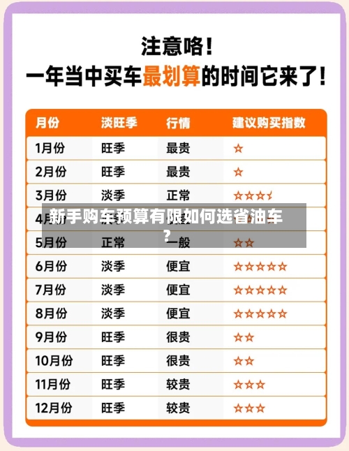 新手购车预算有限如何选省油车?
