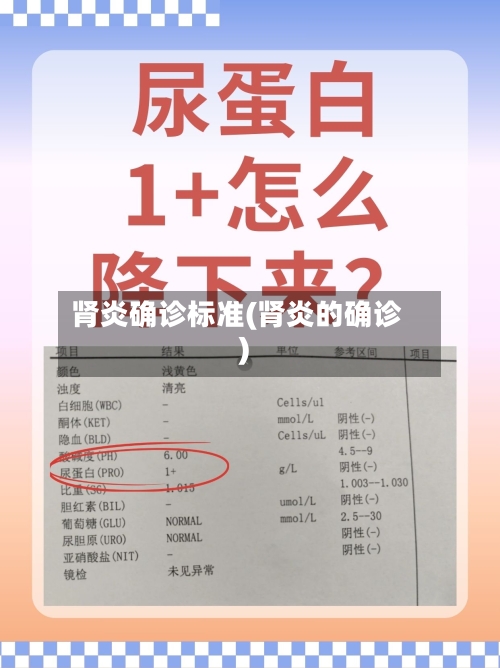 肾炎确诊标准(肾炎的确诊)-第2张图片