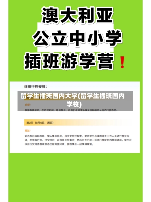留学生插班国内大学(留学生插班国内学校)-第2张图片