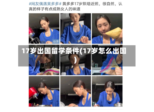 17岁出国留学条件(17岁怎么出国)-第2张图片