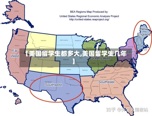 【美国留学生都多大,美国留学生几年】