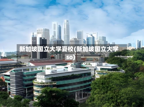 新加坡国立大学夏校(新加坡国立大学so)-第3张图片