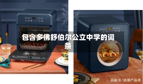 包含多佛舒伯尔公立中学的词条-第2张图片