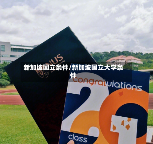 新加坡国立条件/新加坡国立大学条件