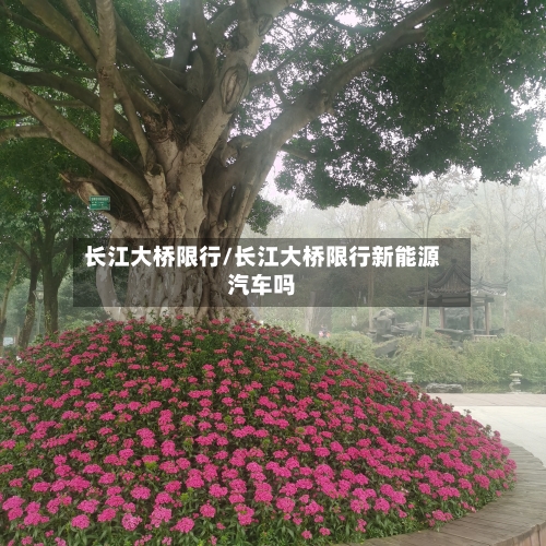 长江大桥限行/长江大桥限行新能源汽车吗-第2张图片