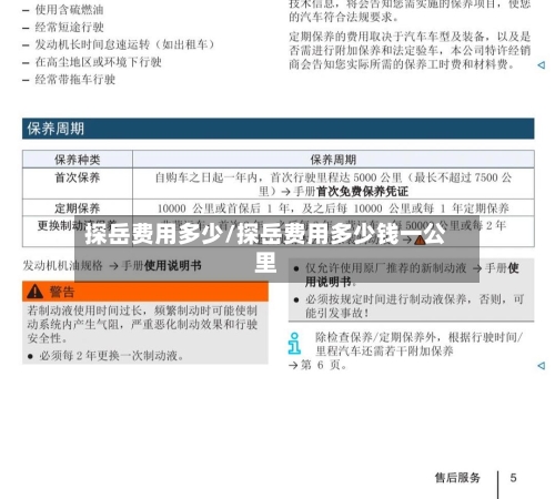 探岳费用多少/探岳费用多少钱一公里-第2张图片