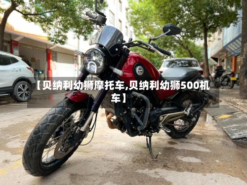 【贝纳利幼狮摩托车,贝纳利幼狮500机车】-第3张图片