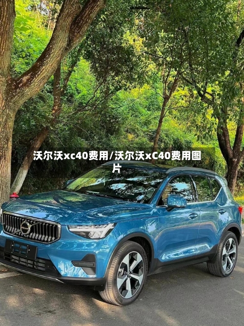 沃尔沃xc40费用/沃尔沃xC40费用图片