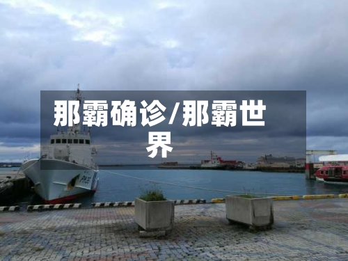 那霸确诊/那霸世界-第2张图片