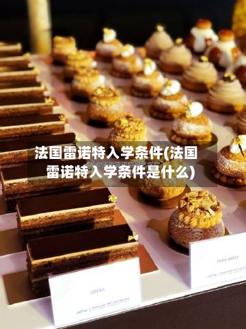 法国雷诺特入学条件(法国雷诺特入学条件是什么)-第2张图片